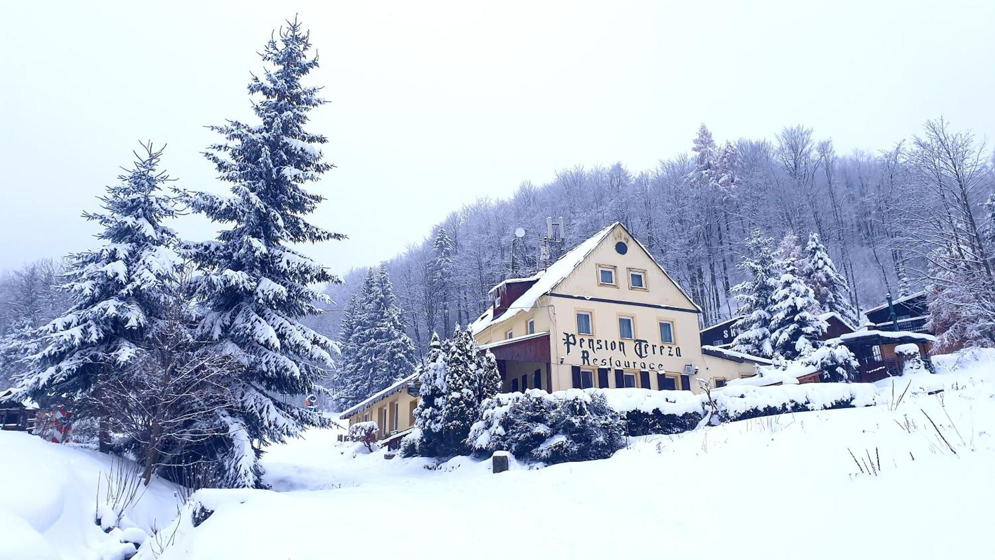 Penzion Tereza Telnice Buitenkant foto
